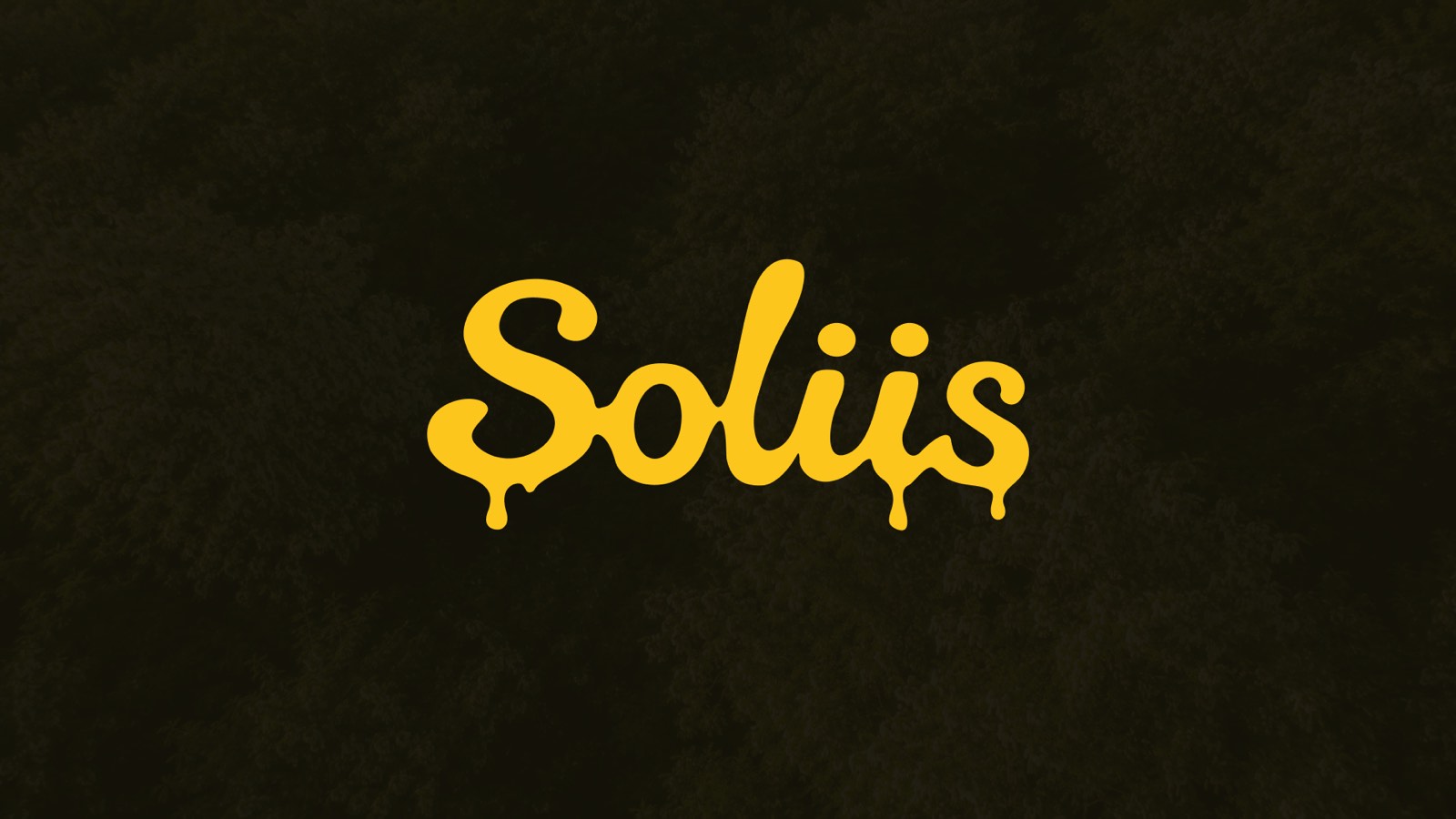 Soliis logo